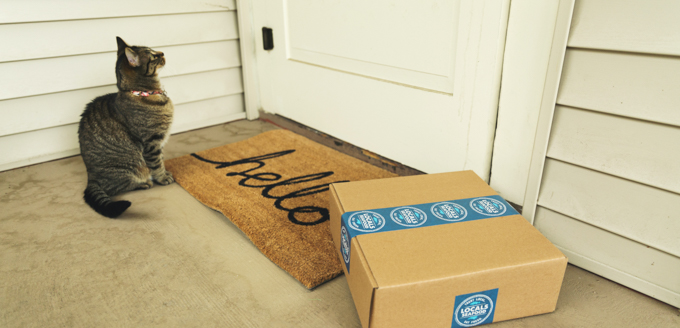 Surprising Items in Your Free Sample Box