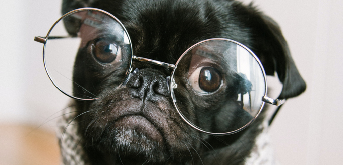 How to Pick the Best Blue Light Blocking Glasses